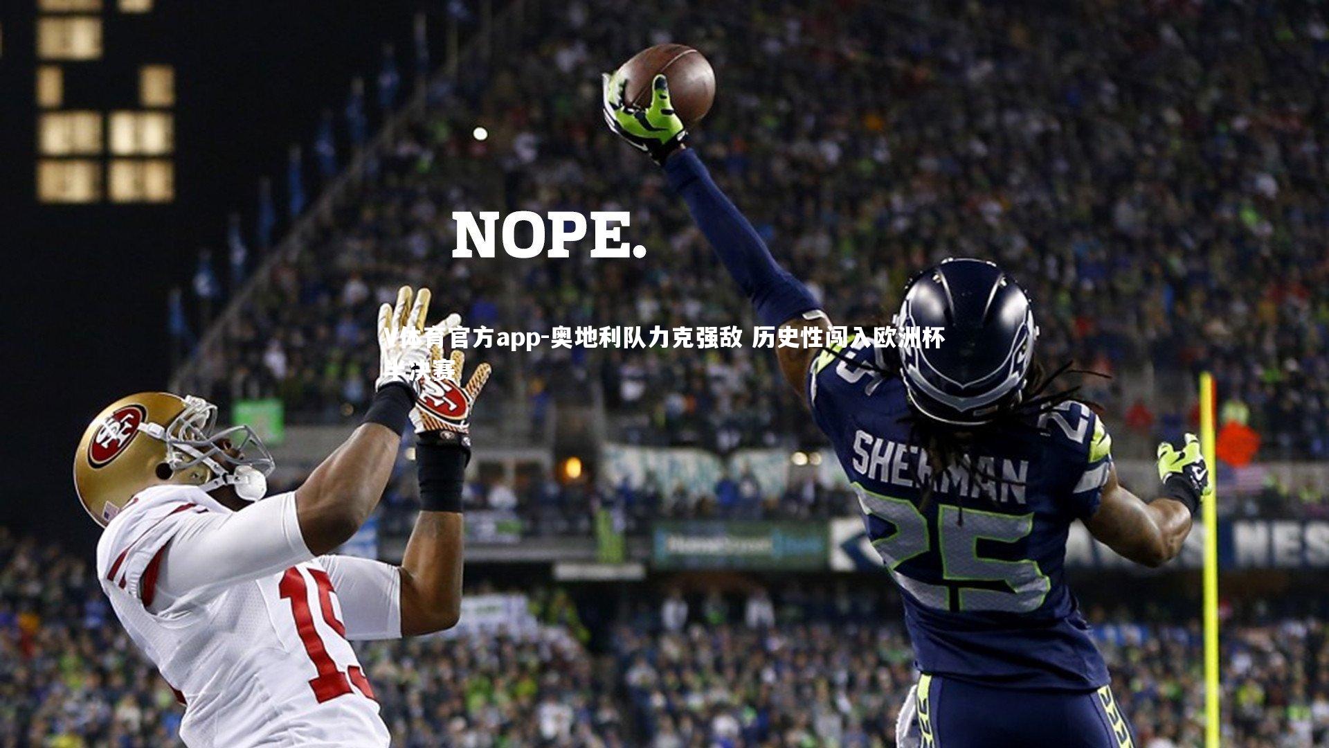 奥地利队力克强敌 历史性闯入欧洲杯半决赛